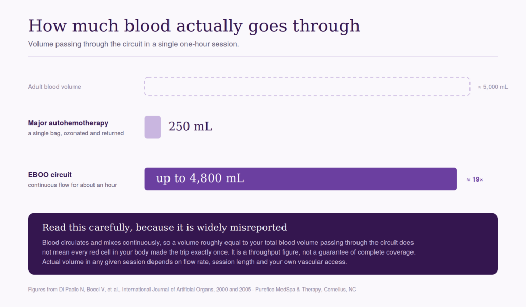 How much blood is actually treated