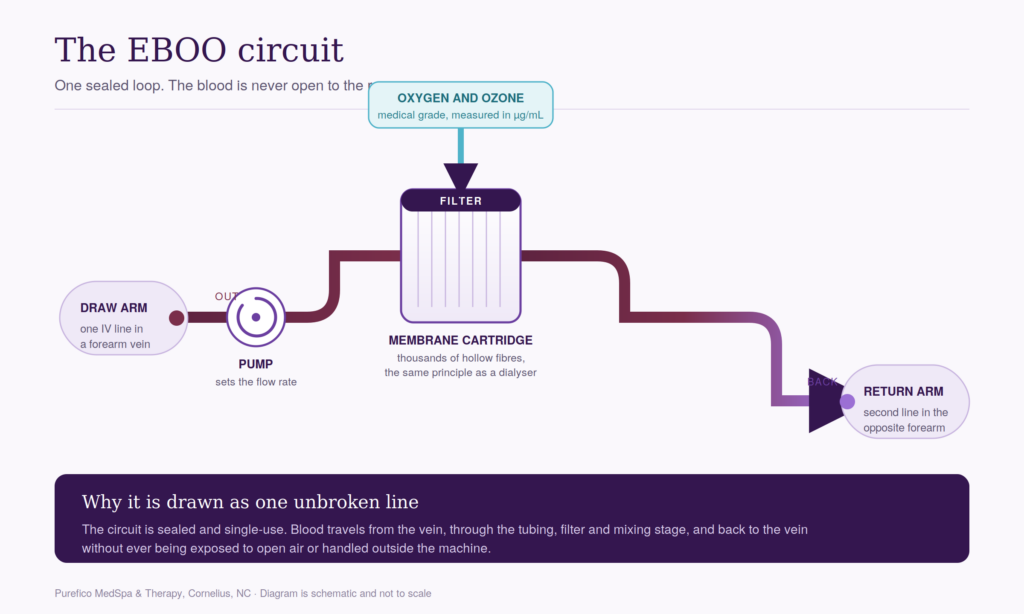 How the EBOO circuit works